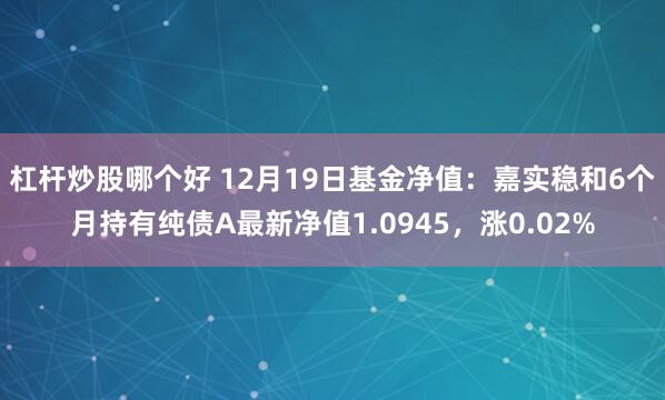 杠杆炒股哪个好 12月19日基金净值：嘉实稳和6个月持有纯债A最新净值1.0945，涨0.02%