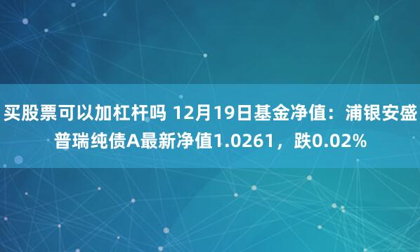 买股票可以加杠杆吗 12月19日基金净值：浦银安盛普瑞纯债A最新净值1.0261，跌0.02%