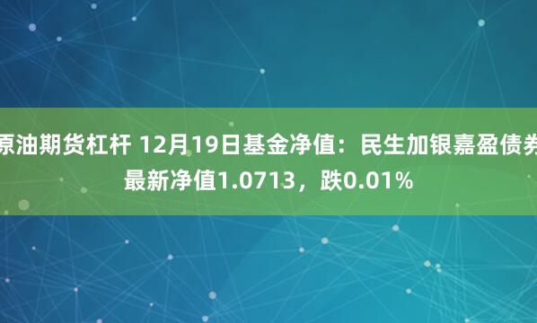 原油期货杠杆 12月19日基金净值：民生加银嘉盈债券最新净值1.0713，跌0.01%
