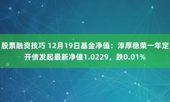 股票融资技巧 12月19日基金净值：淳厚稳荣一年定开债发起最新净值1.0229，跌0.01%