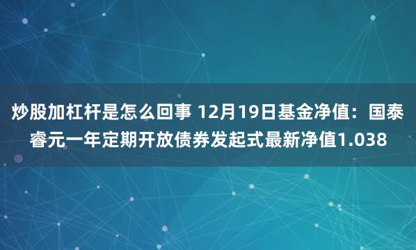 炒股加杠杆是怎么回事 12月19日基金净值：国泰睿元一年定期开放债券发起式最新净值1.038