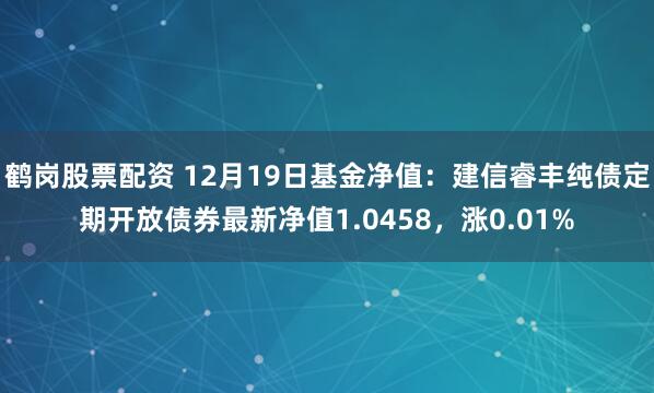 鹤岗股票配资 12月19日基金净值：建信睿丰纯债定期开放债券最新净值1.0458，涨0.01%