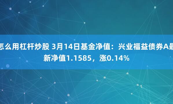 怎么用杠杆炒股 3月14日基金净值：兴业福益债券A最新净值1.1585，涨0.14%