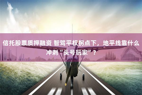 信托股票质押融资 智驾平权拐点下，地平线靠什么冲刺“头号玩家”？