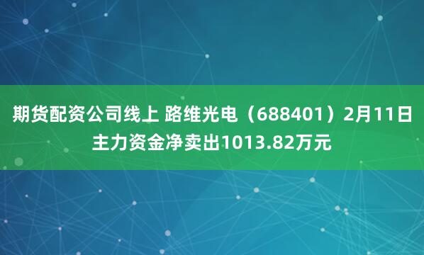 期货配资公司线上 路维光电（688401）2月11日主力资金净卖出1013.82万元