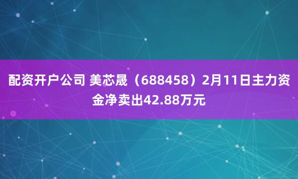 配资开户公司 美芯晟（688458）2月11日主力资金净卖出42.88万元