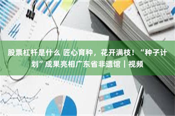 股票杠杆是什么 匠心育种，花开满枝！“种子计划”成果亮相广东省非遗馆｜视频
