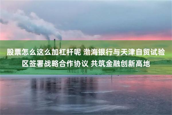 股票怎么这么加杠杆呢 渤海银行与天津自贸试验区签署战略合作协议 共筑金融创新高地