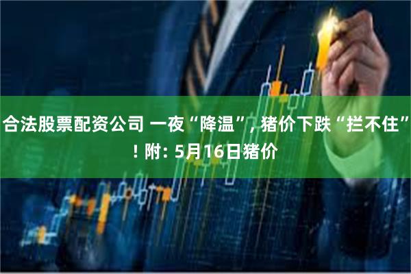合法股票配资公司 一夜“降温”, 猪价下跌“拦不住”! 附: 5月16日猪价