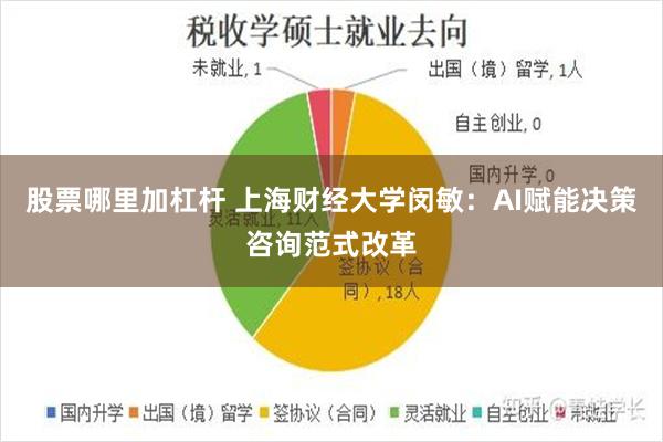 股票哪里加杠杆 上海财经大学闵敏：AI赋能决策咨询范式改革