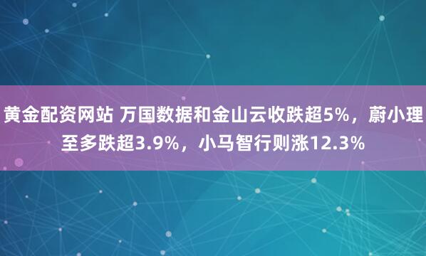 黄金配资网站 万国数据和金山云收跌超5%，蔚小理至多跌超3.9%，小马智行则涨12.3%