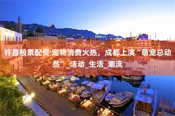 许昌股票配资 宠物消费火热，成都上演“萌宠总动员”_活动_生活_潮流
