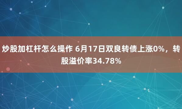 炒股加杠杆怎么操作 6月17日双良转债上涨0%，转股溢价率34.78%