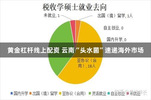 黄金杠杆线上配资 云南“头水菌”速递海外市场