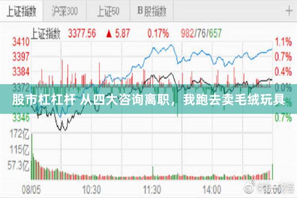 股市杠杠杆 从四大咨询离职，我跑去卖毛绒玩具