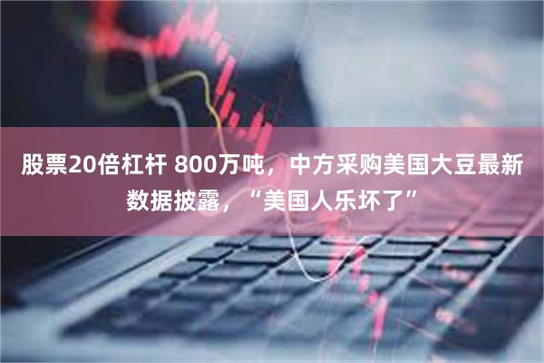 股票20倍杠杆 800万吨，中方采购美国大豆最新数据披露，“美国人乐坏了”